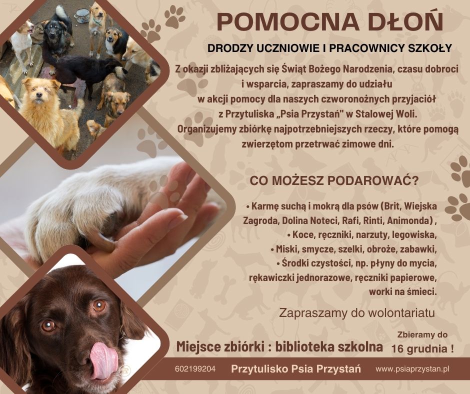 przytulisko_psia_przystan.jpg